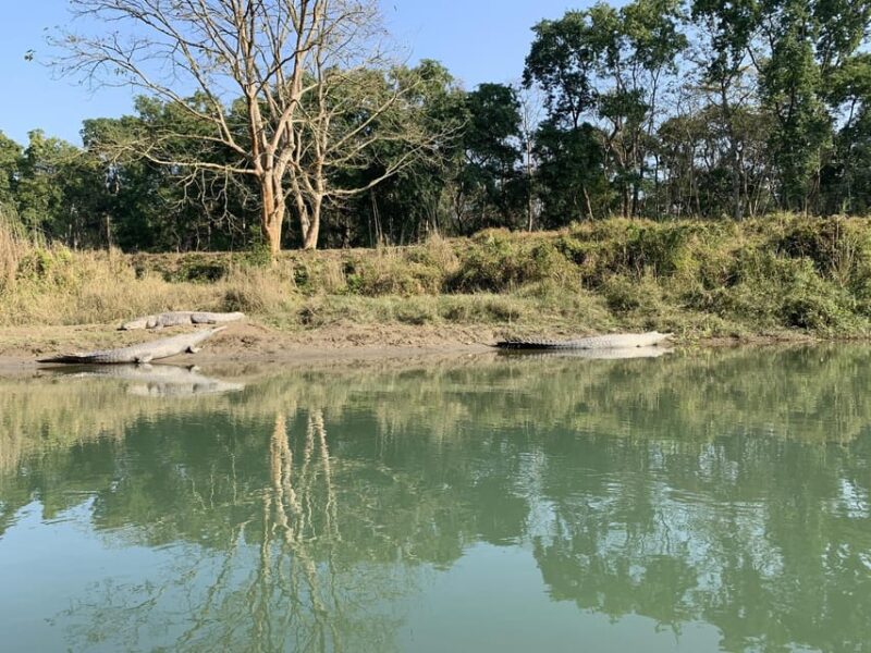 Discover World Heritage Site and Chitwan National Park Tour - Key Points
