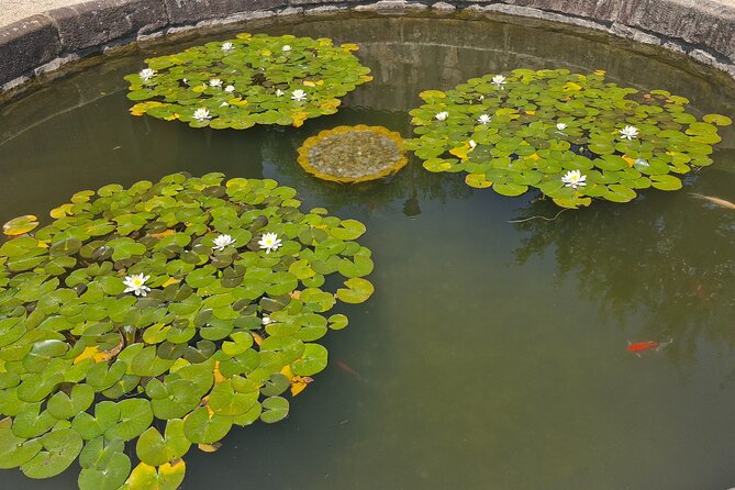 Discover Yangsan: a Relaxing Day Trip From Busan - Planning Your Yangsan Day Trip