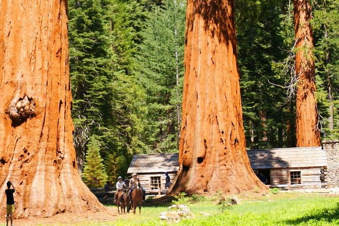Discover Yosemite, Mammoth Lakes + Eastern Sierra'S Breathtaking Natural Wonders - Immerse in Serene Nature