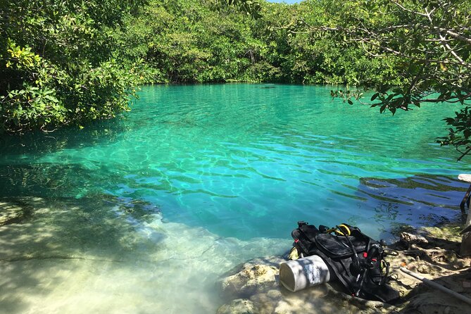 Discovering Breathtaking Cenotes in Tulum - Meeting Points and Logistics