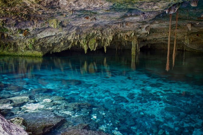 Discovering Breathtaking Cenotes in Tulum - Traveler Reviews and Insights