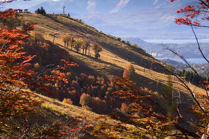 Discovering Cerro Catedral: A Sightseeing Tour - Discovering Nearby Restaurants and Shops