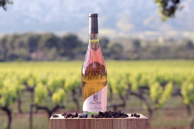 Discovering Château Gassier - Booking and Pricing