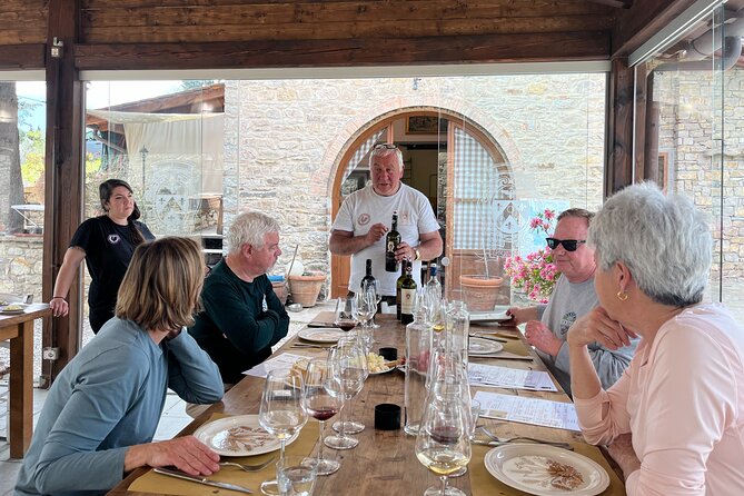 Discovering Chianti, E-Bike Tour - Daily Experience - Accessibility and Participation