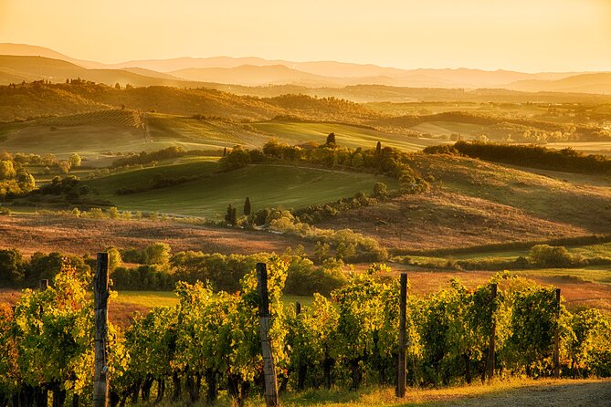 Discovering Chianti: Sunset Ebike Tour and Dinner - Panoramic Countryside Views