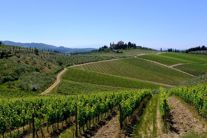Discovering Chianti: Sunset Ebike Tour and Dinner - Aperitif With Vistas