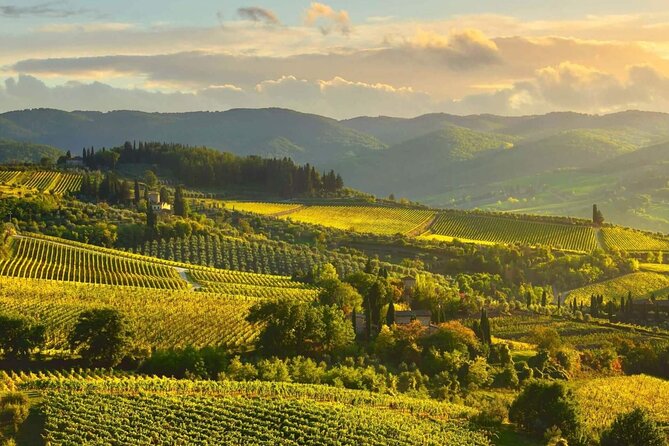 Discovering Chianti: Sunset Ebike Tour and Dinner - Savoring Local Delights