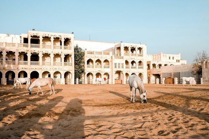 Discovering Doha Qatar | Guided City Tour | Half Day - Operator and Booking