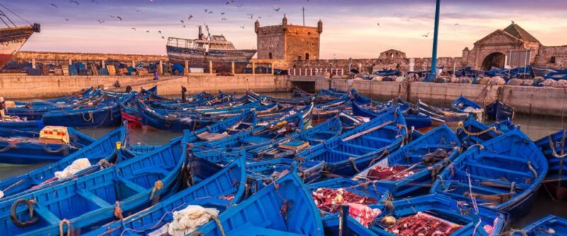 Discovering Essaouira: One-Day Escape From Marrakechs Bust - Fortified Walls and Panoramic Views