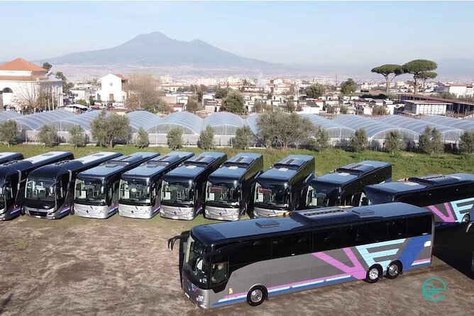 Discovering Gragnano PGI Pasta and the Valle Dei Mulini - Accessibility and Participation