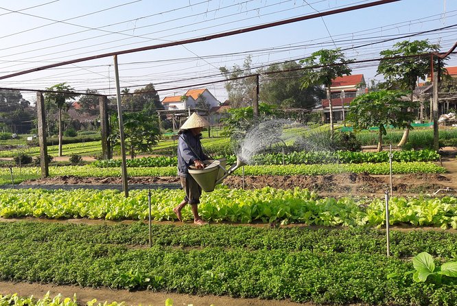 Discovering Hoi an Countryside by Bike - Tour Overview