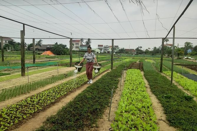 Discovering Hoi an Countryside Local Style From Hoi an - Pickup and Drop-off