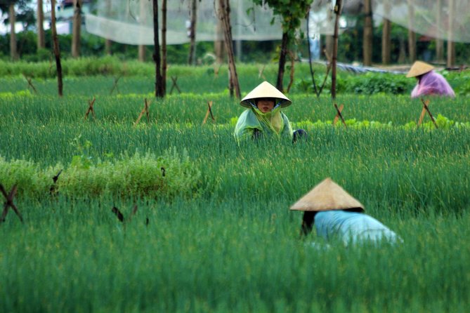 Discovering Hoi an Countryside Local Style From Hoi an - Participation Details