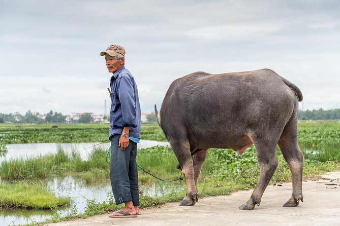Discovering Hoi an Countryside Local Style From Hoi an - Boat Ride on River