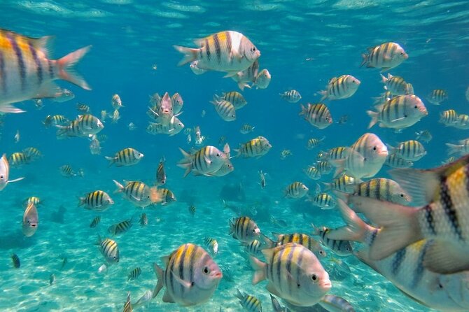 Discovering Isla Mujeres on a Double Decker Catamaran - Inclusions and Exclusions