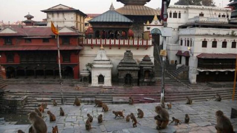 Discovering Kathmandu: Full-Day City Highlights Bus Tour - Key Points