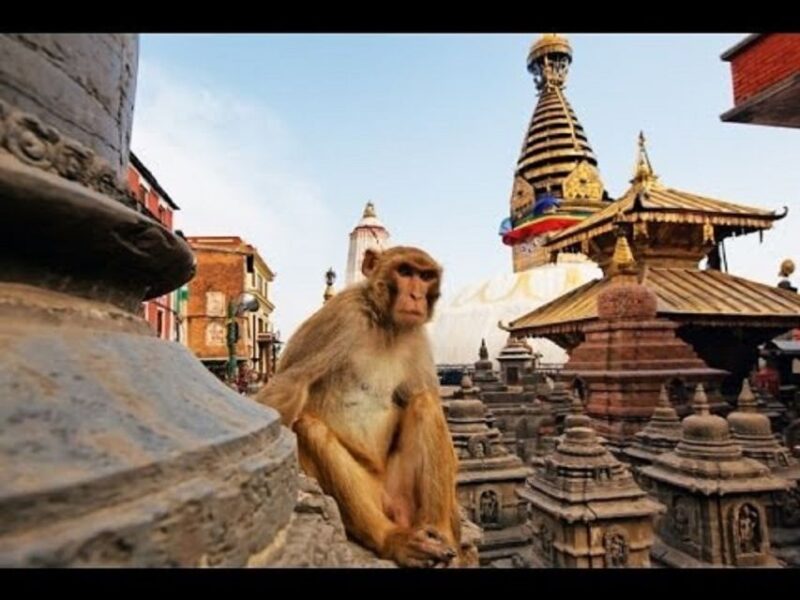 Discovering Kathmandu: Full-Day City Highlights Bus Tour - Tour Highlights
