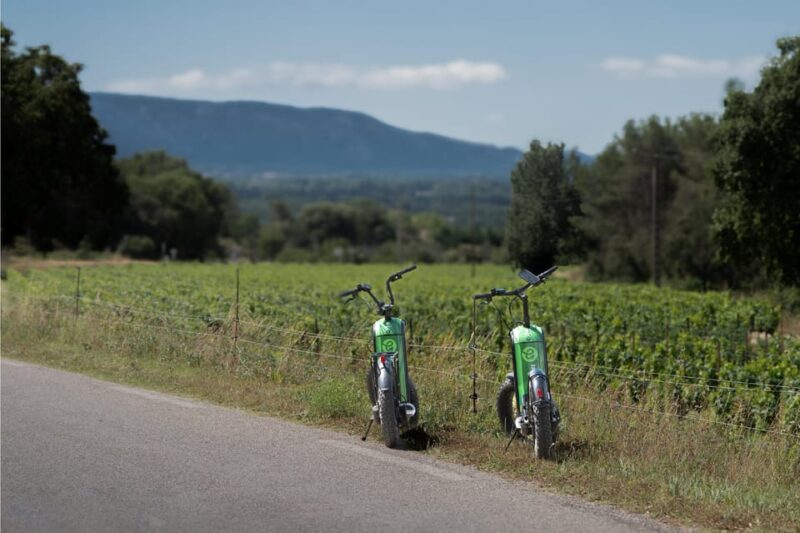Discovering LIsle Sur La Sorgue - Experience Highlights