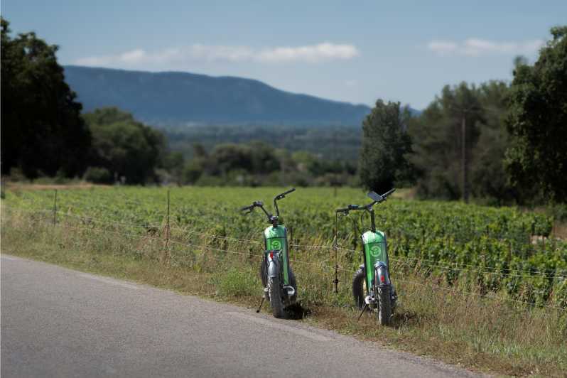 Discovering LIsle Sur La Sorgue - Tour Details
