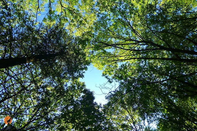 Discovering Nature in Serra Da Lousã - Booking Confirmation and Accessibility