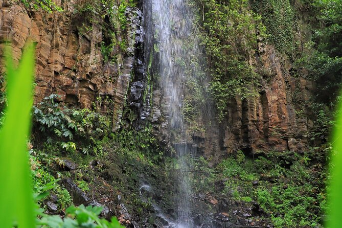 Discovering Northwest Madiera Shore Excursion W/ Harbour Pickup - Guest Reviews and Ratings