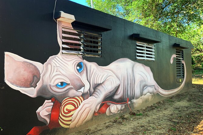 Discovering Puerto Rico: Lifestyle, Art, and Cultural Tour - Recommended for Culture Enthusiasts