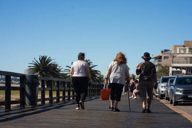 Discovering Punta Del Este: Half-Day City Tour - Tour Overview