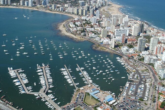 Discovering Punta Del Este: Half-Day City Tour - Enhancing the Experience