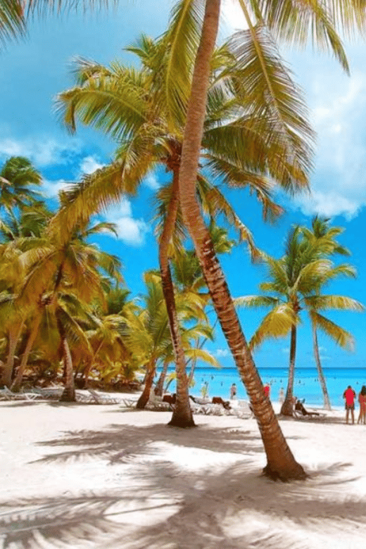 Discovering Saona Island: Adventure With Buffet - Pricing and Booking