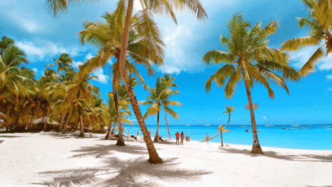 Discovering Saona Island: Adventure With Buffet - Spotting Giant Starfish