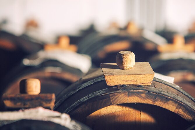 Discovering the Balsamic Vinegar of Modena! - Guided Tour of Acetaia