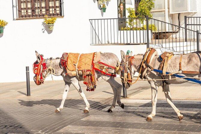 Discovering the Best of Mijas Private Guided Tour - Charming Cobblestone Streets