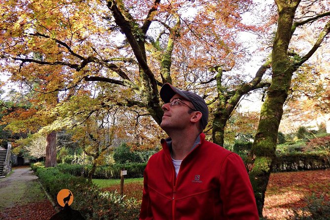 Discovering the Charms and Places of Coimbra - Guided Tour Highlights