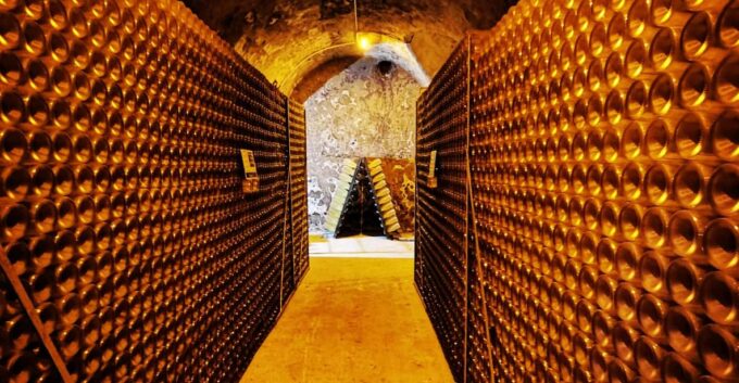Discovering the Didier Herbert Estate - Champagne Tasting and Pairing