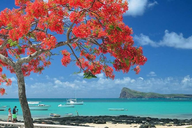 Discovering the North of Mauritius: Full-Day Incl Botanical Garden & Lunch - Inclusions and Logistics