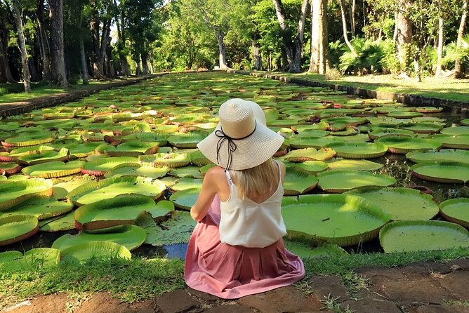 Discovering the North of Mauritius: Full-Day Incl Botanical Garden & Lunch - Exploring Apravasi Ghat and Blue Penny Museum