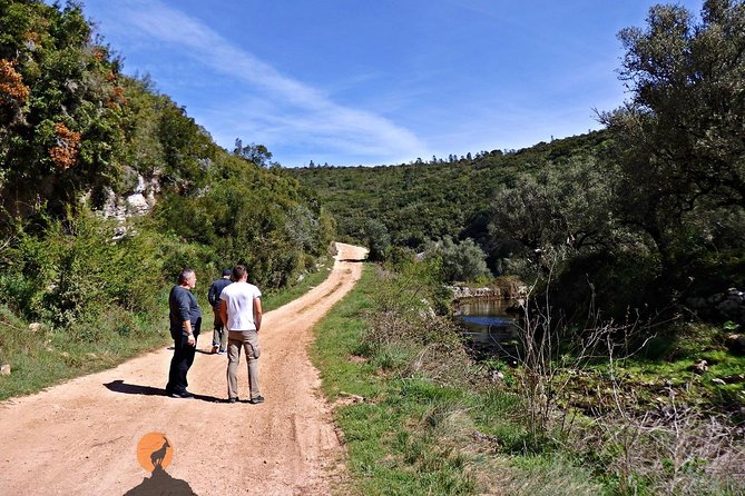 Discovering the Roman Ruins of Conímbriga and the Caves of Sicó - Tour Details and Itinerary