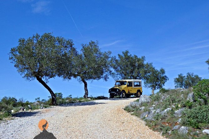 Discovering the Roman Ruins of Conímbriga and the Caves of Sicó - Reviews and Visitor Experiences