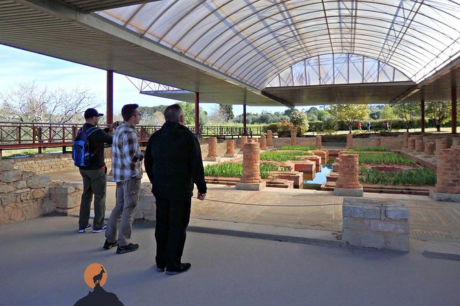 Discovering the Roman Ruins of Conímbriga and the Caves of Sicó - Accessibility and Transportation Options