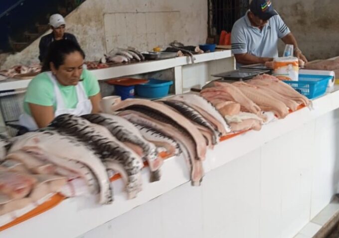 Discovering the Secrets of the Amazon: Guided Tour of Belén - Vibrant Belén Market