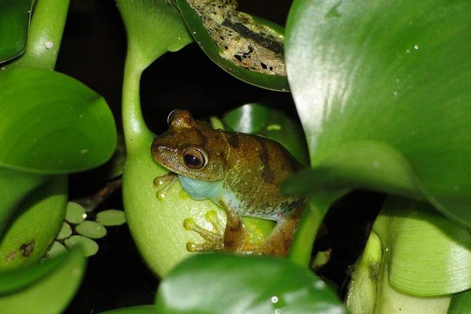 Discovering The World of Birds - Meeting Point and Start Time