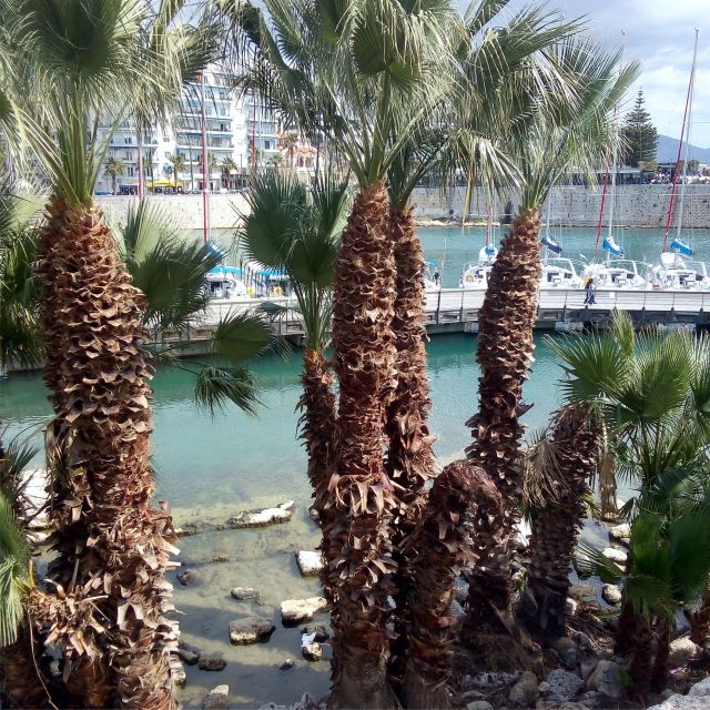 Discovering & Uncovering Piraeus: Hidden Gems & Secrets - Discovering Maritime Allure