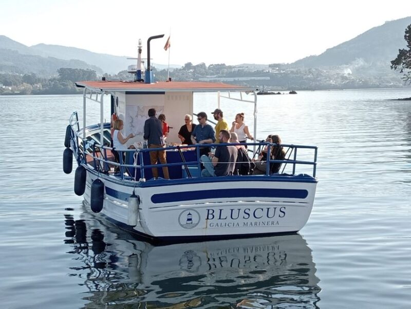 Discovering Vigo and Mussels in the Traditional Boat - Booking and Flexibility