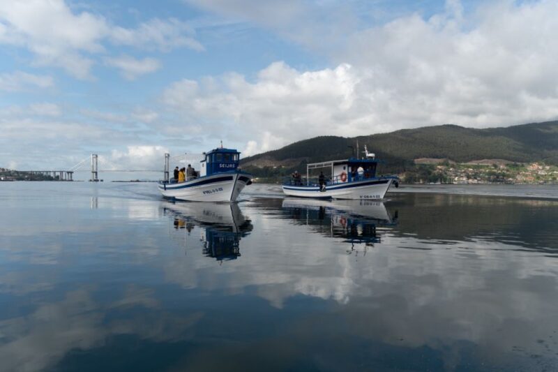 Discovering Vigo and Mussels in the Traditional Boat - Mussel Farming Insights