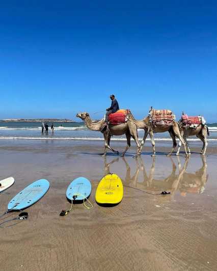 Discovertangier: Day Trip From Tarifa With Camel Ride &Lunch - Key Points