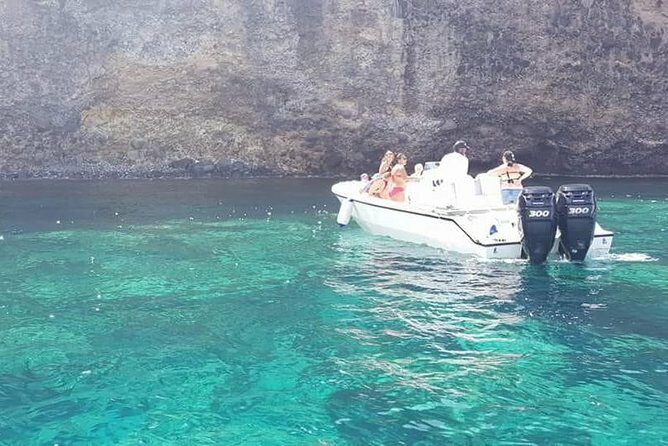 Discovery and snorkeling with sea turtles - Exploring the Sea Turtles of Martinique: A Practical Review