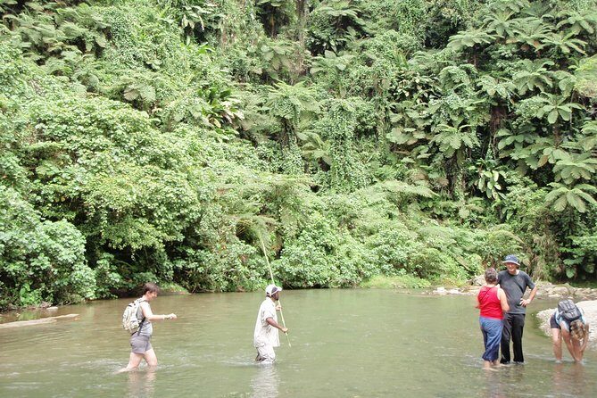 Discovery Bush Walk from Port Vila - Key Points
