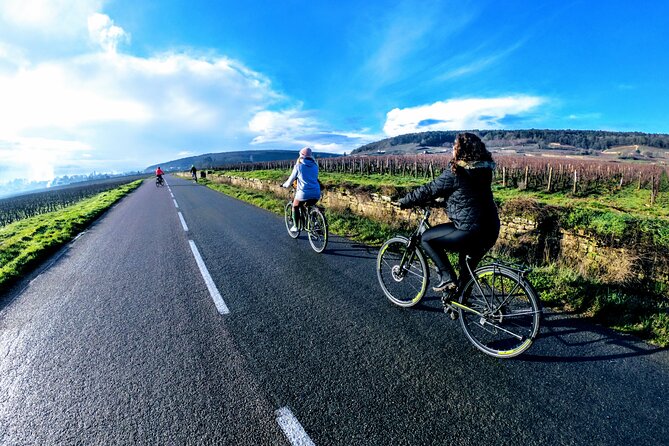 Discovery by Bike & Tasting in the Vineyards - Inclusions
