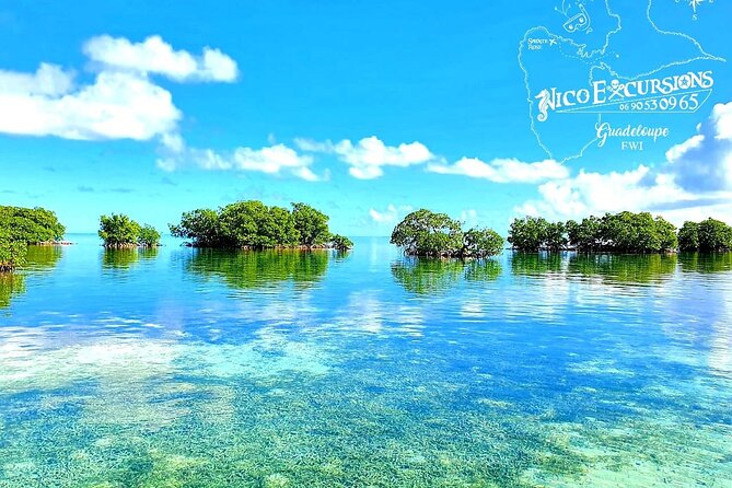 Discovery by Boat of the Mangrove and Its Lagoon in 7 Stages Including 4 Swimming - Included Amenities