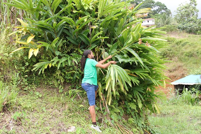 Discovery Day 4x4 Ride - Northern Circuit of Martinique - Inclusions